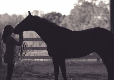 L’alimentation du cheval âgé