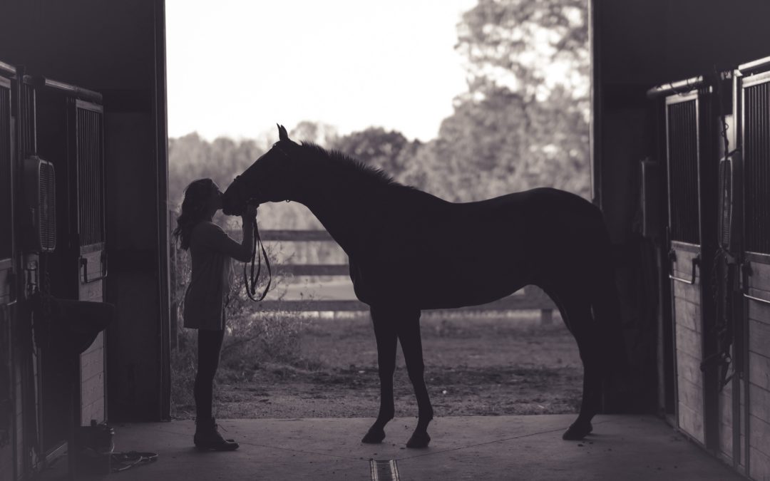 Faut-il couvrir son cheval en hiver ?