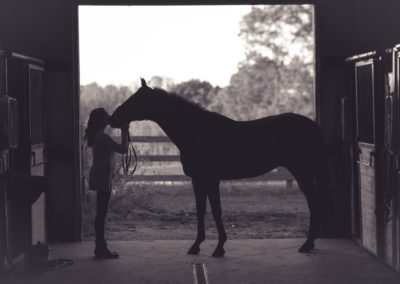 Faut-il couvrir son cheval en hiver ?